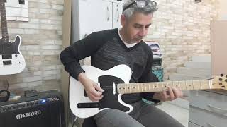 LINE LUTHIER CUSTOM SHOP TELECASTER Custom entregue Rafael