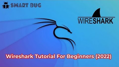 Wireshark Tutorial For Beginners 2022 | SMART BUG | Kali Linux Tutorial