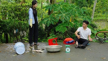 CHỦ TỊCH VỀ QUÊ CHẠY TRỐN HÔN NHÂN SẮP ĐẶT | CƠM ÁO GẠO TIỀN TẬP 973