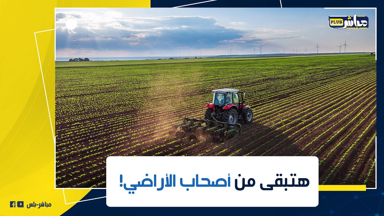 الحكومة بتوفرلك اراضي زراعية تقدر تستثمر فيها.. بسعر رمزي وبتسهيلات كبيرة.. هتجبلك بعد كدا ملايين