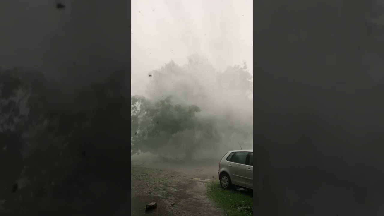 heaviest rainfall ever 