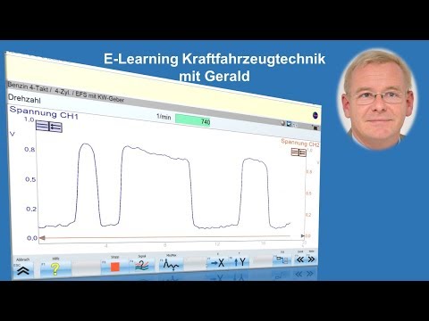 Video: Das Signal Von T Lva Überprüfung