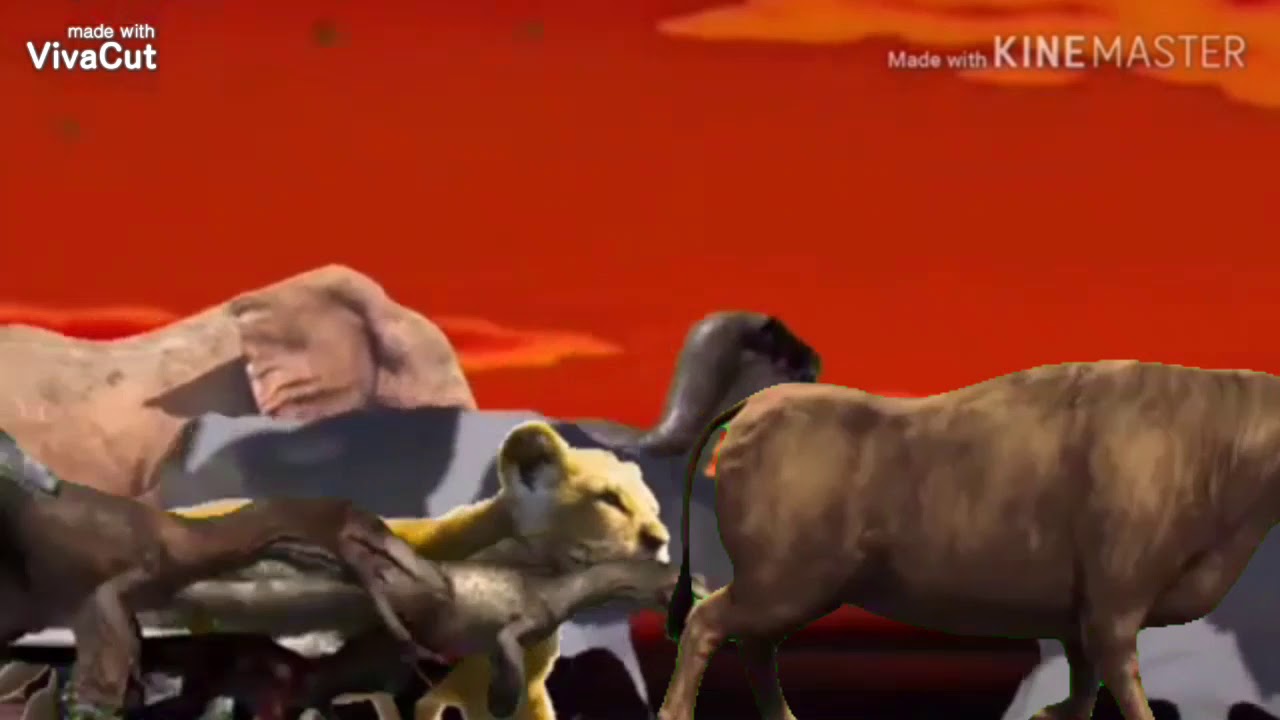 Animal Stampede Part 4 YouTube