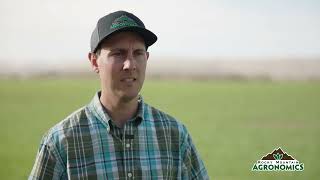 Stream Bar Fertilizer Application Benefits