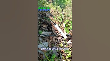 Cách chuyển béc vít sang béc MK88 đơn giản