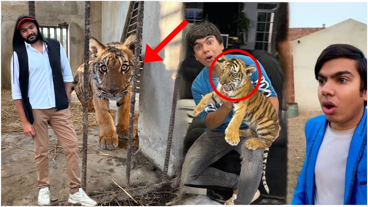 Waleed Say Leo Wapis Ab Her Hal May Lian gey 👊🔥