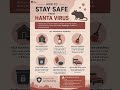 How to Stay Safe🦠| Hanta Virus | #emergency #pandemic #safe #life #medicine #health #student #mbbs