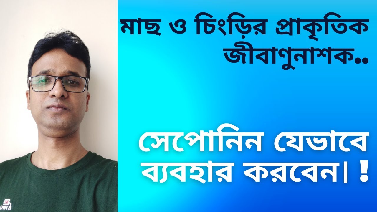 মাছ ও চিংড়ির প্রাকৃতিক জীবাণুনাশক সেপোনিন যেভাবে ব্যবহার করবেন। (Tea seed cake in aquaculture