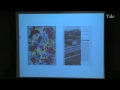 Landscape Urbanism Landscape Urbanism