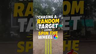 Gully Cricket But Target Is Random (Spin Wheel Challenge) | CricketSyndicates #gullycricket #cricket