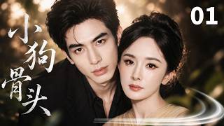 【2026最新都市剧】【小狗骨头Wild for You】 EP01🔥｜宋威龙腹黑翻译天才遇上杨幂倔强法语硕士，两人从刁难到满心偏爱#宋威龙 #杨幂 #movie #chinesedrama screenshot 3