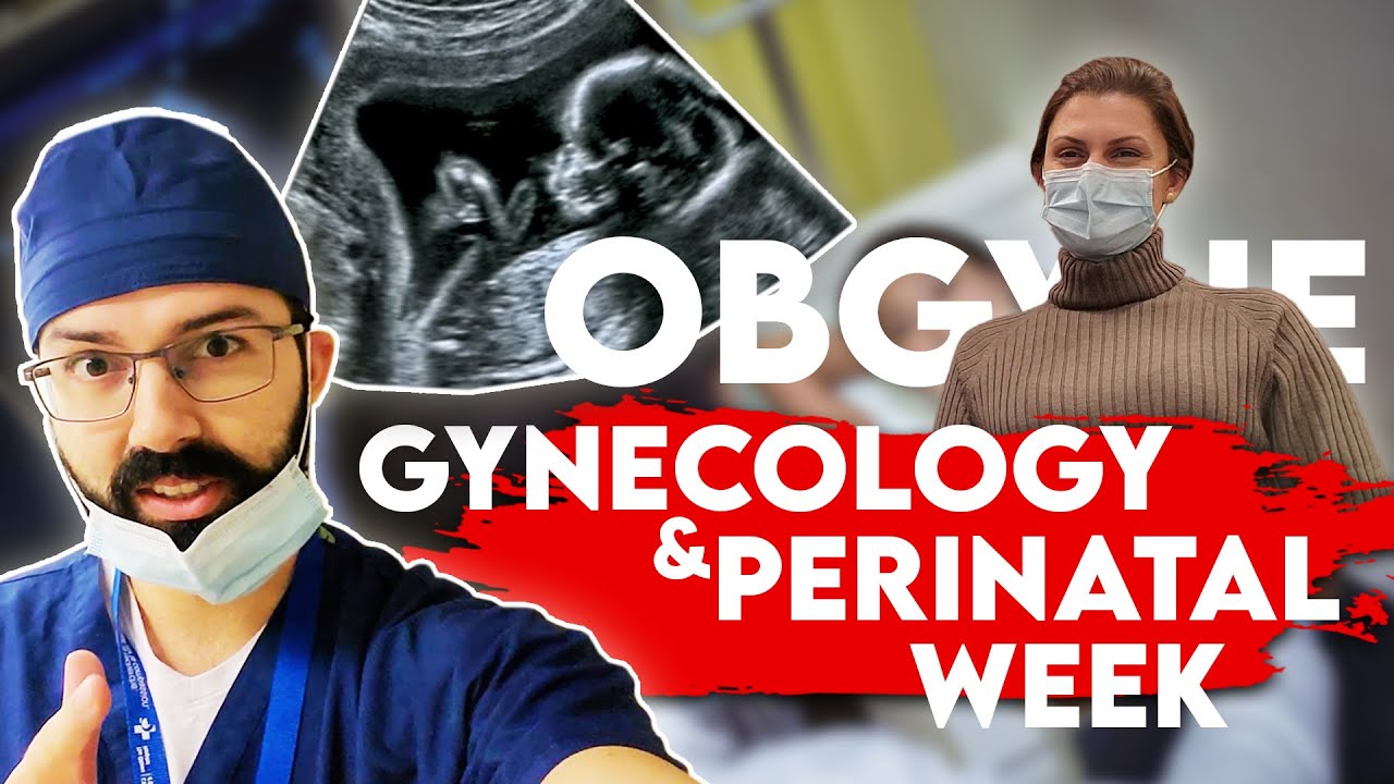 A Week In The Life of A Medical Student: OBGYN Rotation - YouTube