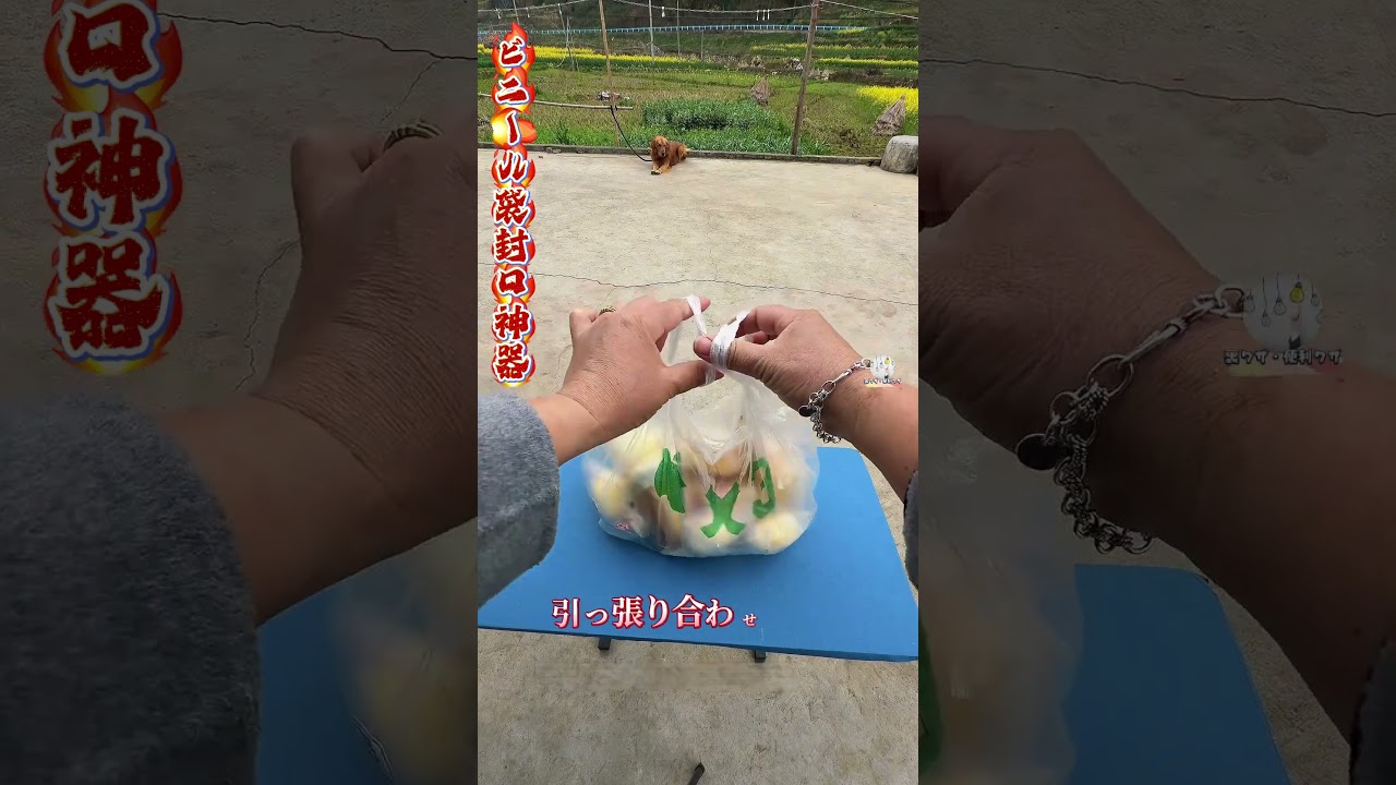 【ビニール袋封口神器！】引くだけで開閉超便利！#封口テク #実用スキル #本格テク