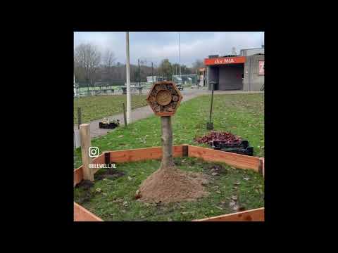 Related Embedded Video Item Thumbnail