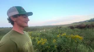 Greg Judy compares brushogging pastures or not brushogging in a severe drought. Please be careful!
