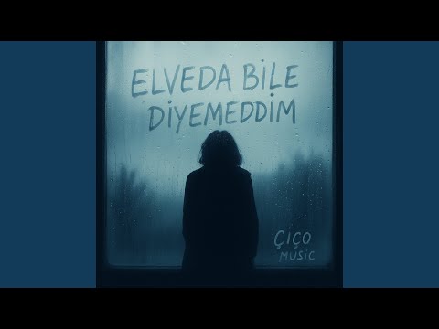 Elveda Bile Diyemedim