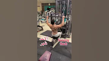 جدول تمرين Bro Split 