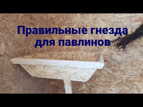 Гнезда для павлинов своими руками. Содержание и разведение павлинов. Sockel für Pfauen