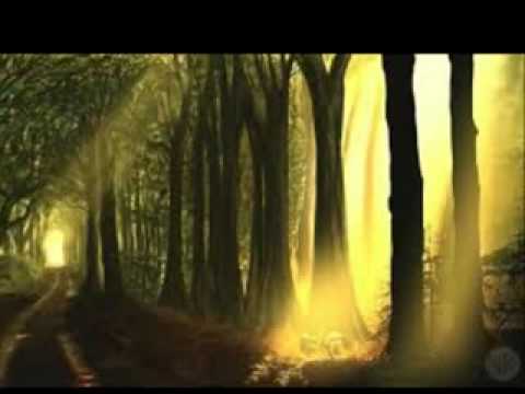 رسالة الى أمي الحبيبه للأستاذ الدكتور خالد بن حامد الحازمي