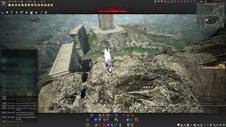 BDO Horse Fall dmg bug 10.08.2026