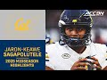 Cal QB Jaron-Keawe Sagapolutele Midseason Highlights | 2025 ACC Football