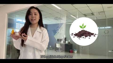 Smart Soil Quality Detection System