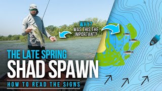 The SHAD Spawn – WHY was THIS the KEY?!? (Spring Bass Fishing)