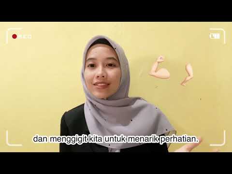 Video: Cara Menghentikan Kanak-kanak Daripada Menggigit Kanak-kanak Lain