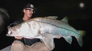 My Obsession - A Snook film
