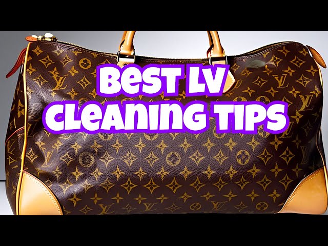 How To Clean Vintage Louis Vuitton Canvas