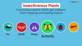 Class-7-Science-Ch-10-Nutrition in Plants-Topic- Holozoic Nutrition