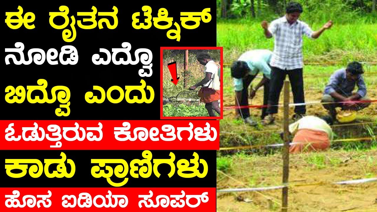 ಈ ರೈತನ ಟೆಕ್ನಿಕ್ ನೋಡಿ ಓಡುತ್ತಿರುವ ಕೋತಿಗಳು ಕಾಡು ಪ್ರಾಣಿಗಳು | Farmers new tricks in Kannada |chandanavana