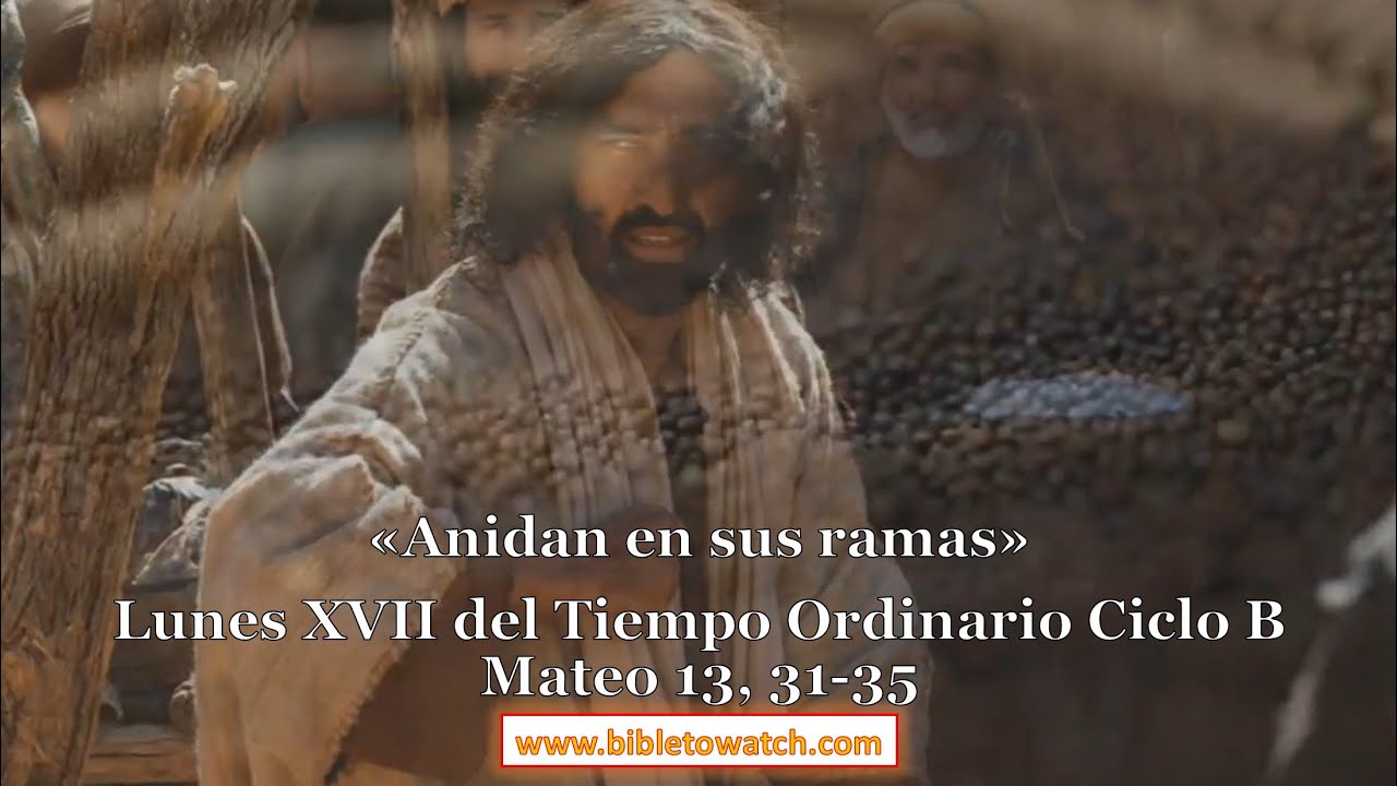 Lunes XVII Semana del Tiempo Ordinario: Mateo 13, 31-35 #Bibletowatch