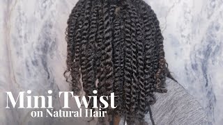 How To: Mini Twist on Natural Hair | EASY Summer Protective Style |