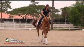 Detailed Catherine Haddad- training system 4 Profile