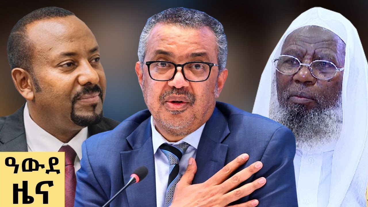 የ ምሽት የአማርኛ ዜና ሕዳር 22-2018 ዓም - Abbay News - Ethiopia