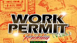 Video thumbnail of "Work Permit Riddim Mix ( May 2014) (Promo)"