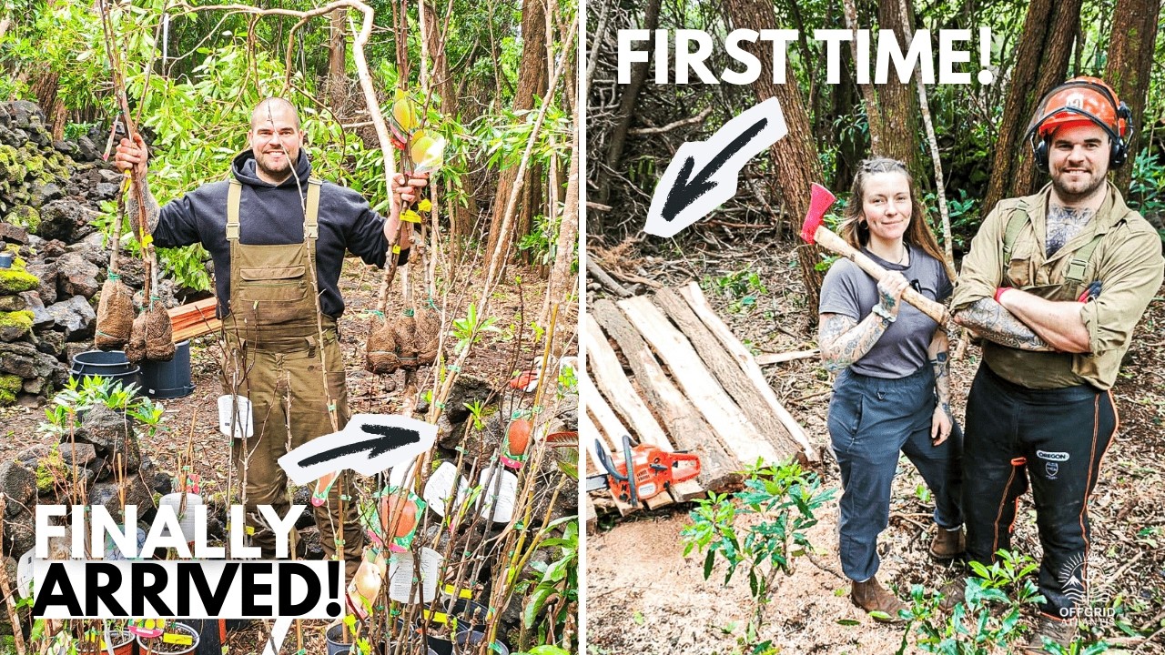 Freehand Chainsaw Milling Timber for New Project | Off-Grid Island Homestead