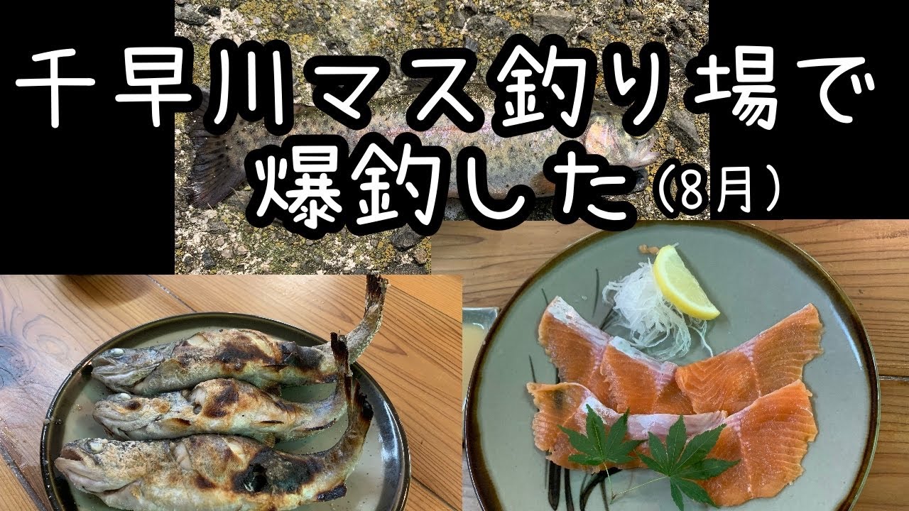 千早川マス釣り場 ウキ釣りでニジマス Youtube