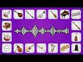 تخمين الصوت اختبار الآلات الموسيقية أصوات الآلات 