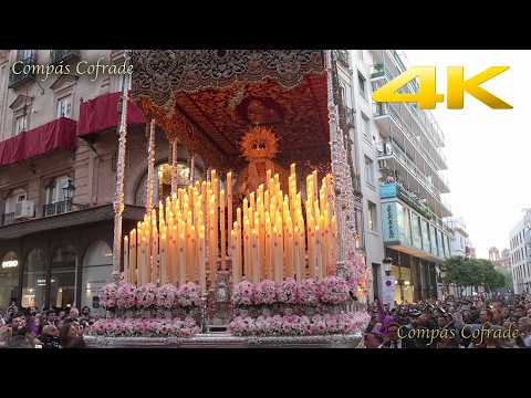 Pontificia, Real e Ilustre Archicofradía del Santísimo Sacramento, Nuestro Padre Jesús Nazareno y María Santísima de la 0