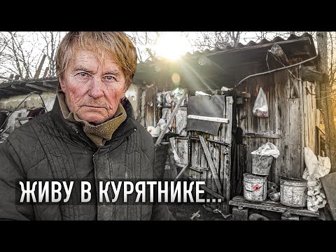 Видео: Това е коледно чудо! Санта изненада децата със спасително куче след кученце изчезва