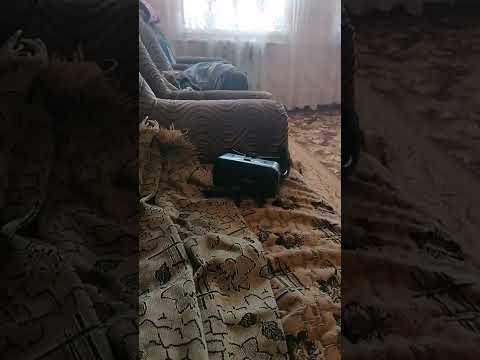 Короче говоря я