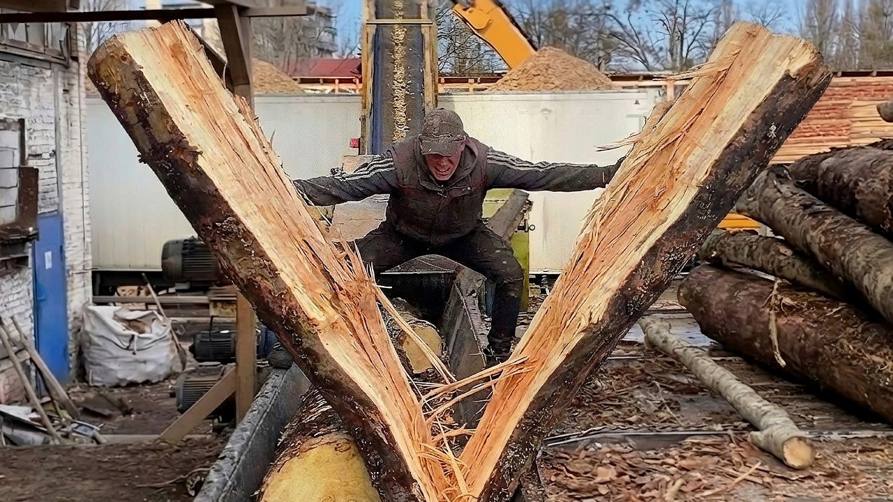 EXTREME 1 Hour Wood Chips Highlights.