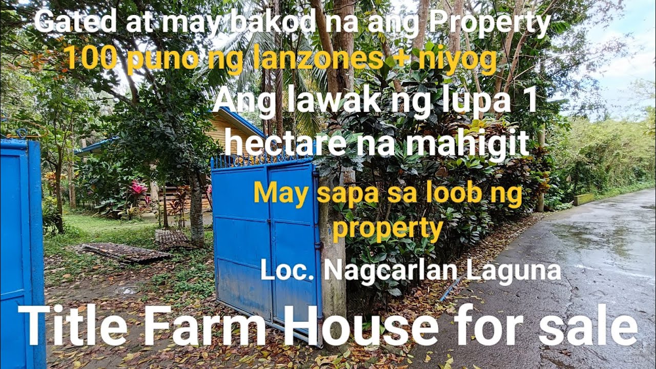 #Vlog273 FARM WITH HOUSE TITLE | FOR SALE | MAY SAPA SA LOOB NG PROPERTY | 100 PUNO LANZONES ❗SOLD❗