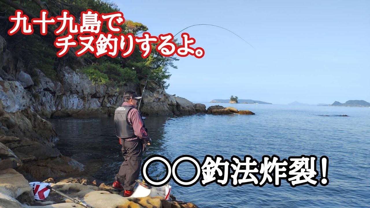 九十九島でチヌ釣り！NAGISAは曲がるよどこまでも。2026/3