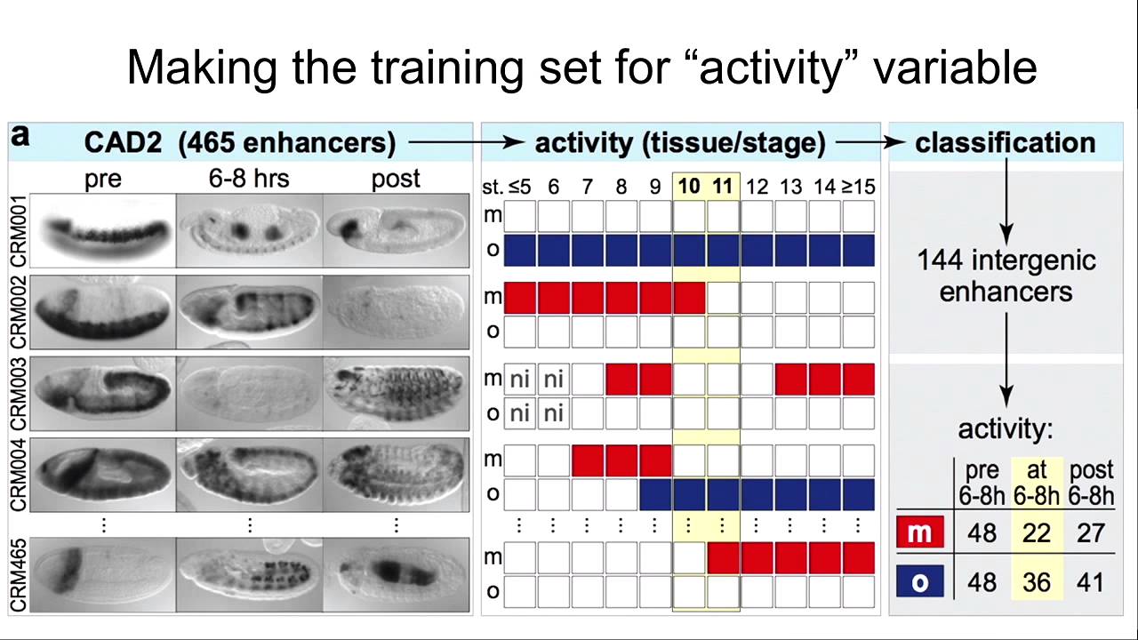 Image from Bartek Wilczynski - Using Python to Find a Bayesian Network Describing Your Data