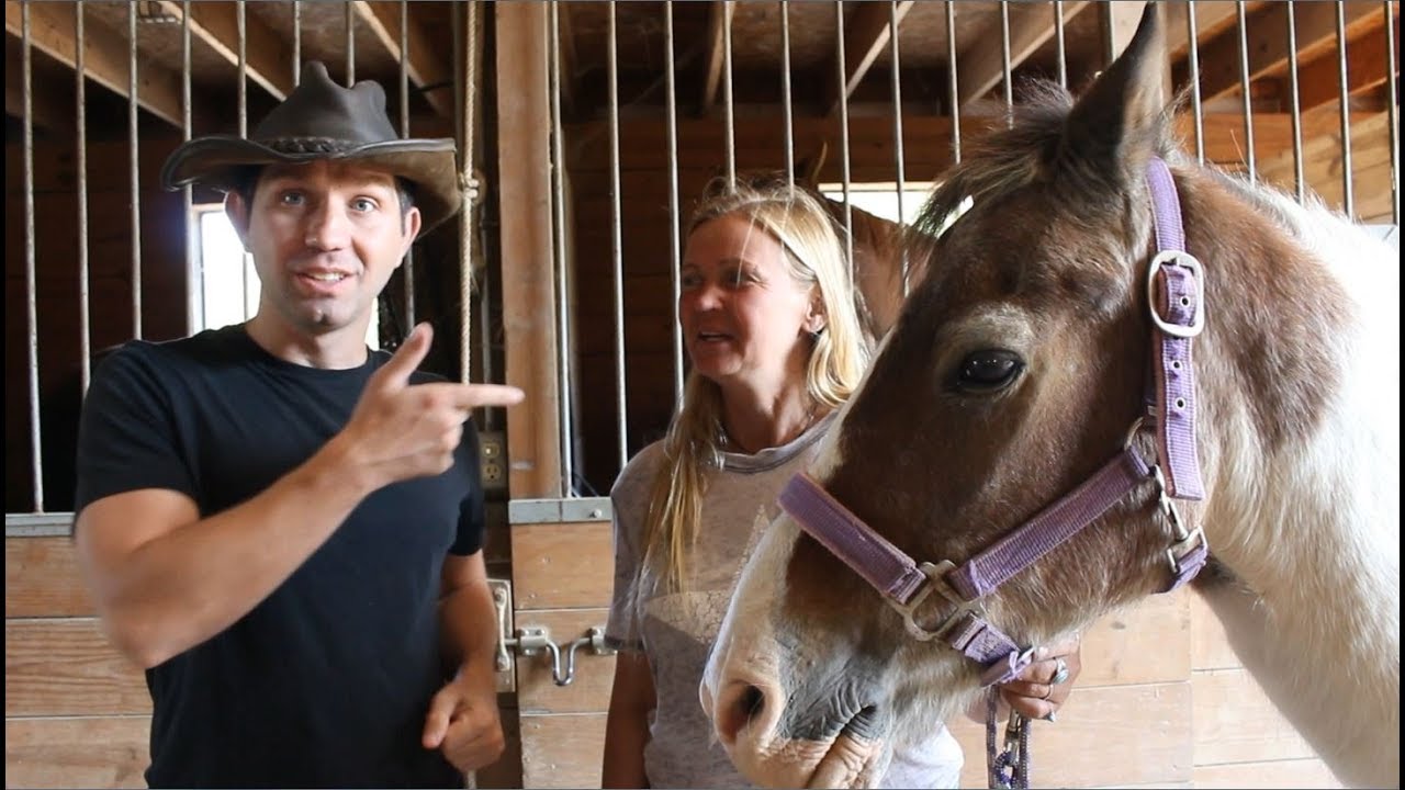 horseshoe bend Saving Horses!