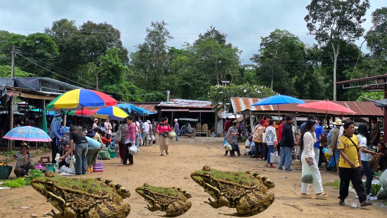#food อาหารป่า ช่องตาอู | อำเภอบุณฑริก อุบลราชธานี