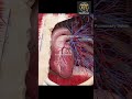 Heart Short Animated Video By Mediforum. #mbbs #pharmacy #nurse #medicalstude